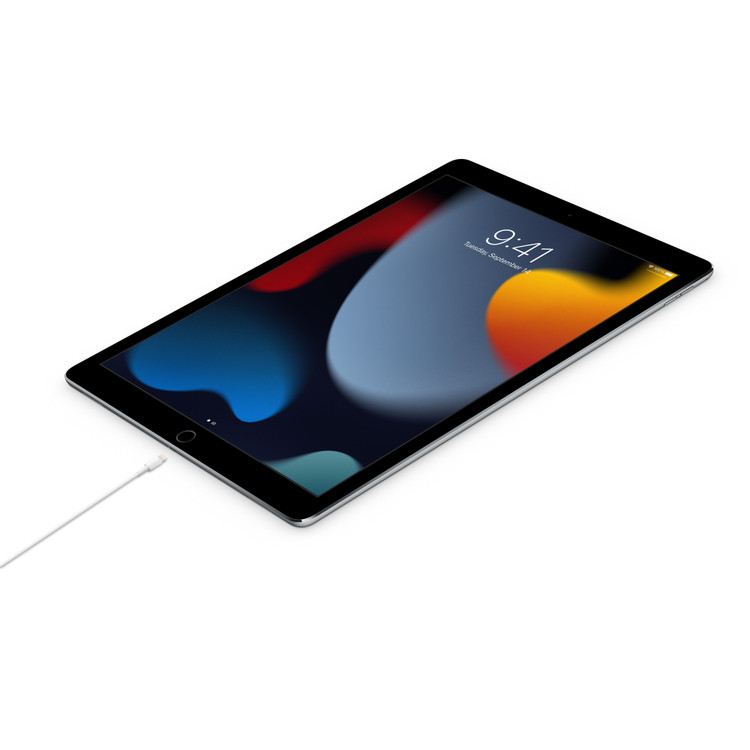 کابل شارژ و انتقال داده اپل مدل A2561 با رابط Lightning به Type-C و طول 1 متر