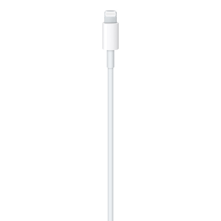 کابل شارژ و انتقال داده اپل مدل A2561 با رابط Lightning به Type-C و طول 1 متر