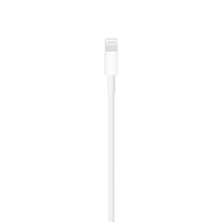 کابل شارژ اپل لایتنینگ به USB مدل A1480 یک متری