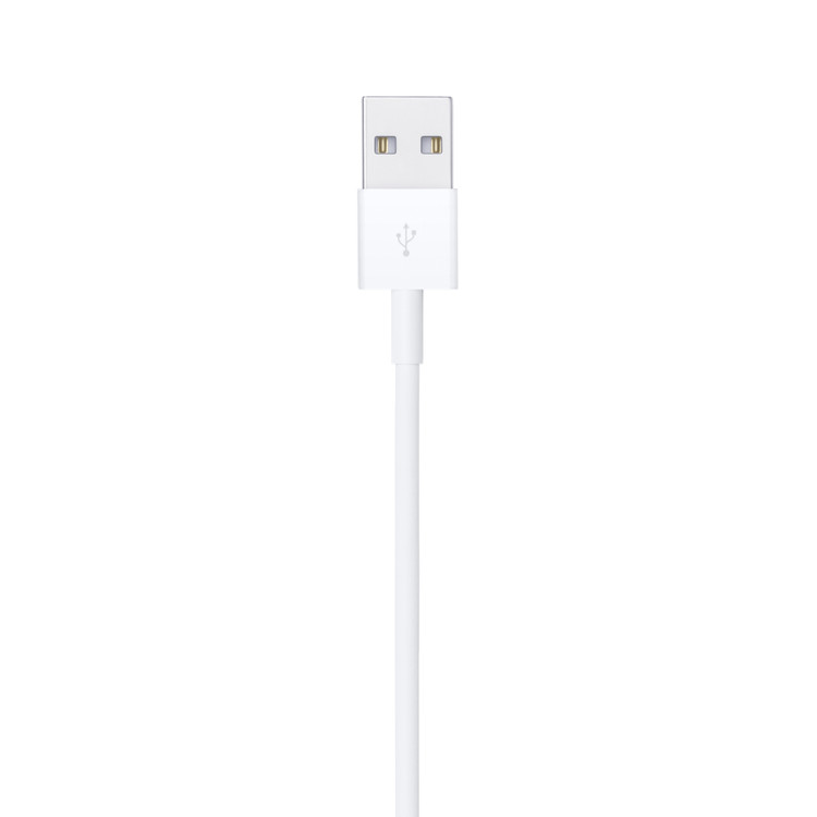 Apple Lightning to USB Cable A1480 Original